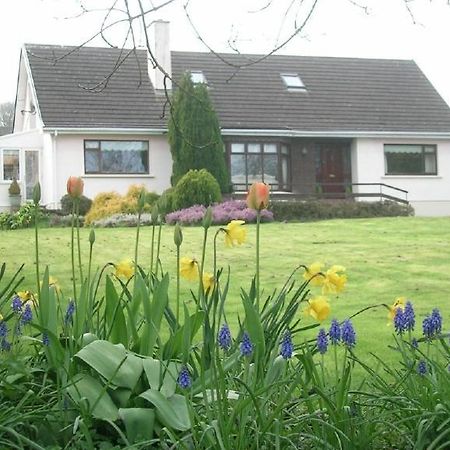 Glen na Smole Bed and Breakfast Wicklow Buitenkant foto