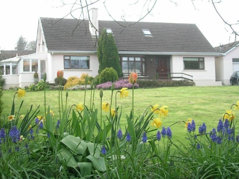 Glen na Smole Bed and Breakfast Wicklow Buitenkant foto