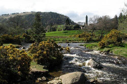 Glen na Smole Bed and Breakfast Wicklow Buitenkant foto